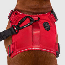 Load image into Gallery viewer, Complete Control Harness (Red)
