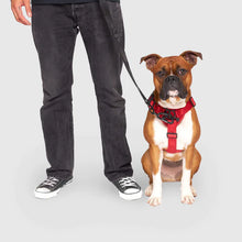 Load image into Gallery viewer, Complete Control Harness (Red)