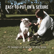 Load image into Gallery viewer, Complete Control Harness (Black)