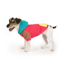 Load image into Gallery viewer, Cooper Hoodie (Pink)