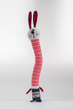 Load image into Gallery viewer, Crunch Neck Toy