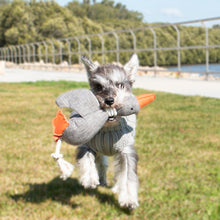 Load image into Gallery viewer, Dodo the Duck