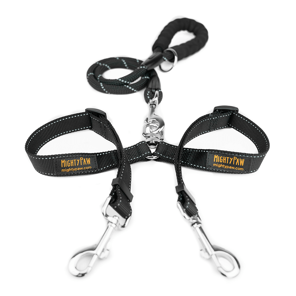 Double Dog Leash Rope Handle – WAGSUP