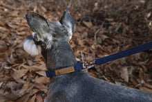 Load image into Gallery viewer, Easy Collar (Navy)