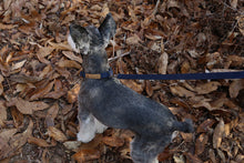 Load image into Gallery viewer, Easy Collar (Navy)