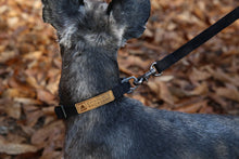 Load image into Gallery viewer, Easy Leash (Black-One Size)