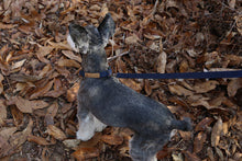Load image into Gallery viewer, Easy Leash (Navy-One Size)