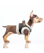 Load image into Gallery viewer, Evan Harness Grey