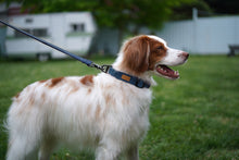 Load image into Gallery viewer, Field Collar (Navy)