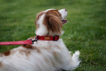 Load image into Gallery viewer, Field Collar (Red)