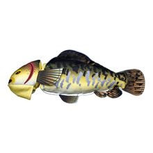 Load image into Gallery viewer, Fly & Fetch Fish