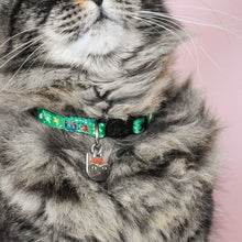 Load image into Gallery viewer, Frida Catlo Artist Cat Collar