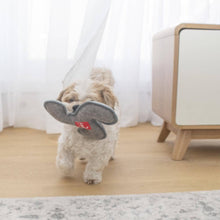 Load image into Gallery viewer, Frisbee