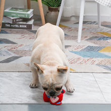 Load image into Gallery viewer, Fruity Critters Pumpkin