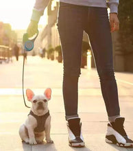 Load image into Gallery viewer, Go Shine Leash Max
