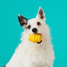 Load image into Gallery viewer, Hive Chew Toy for Small Dogs