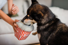 Load image into Gallery viewer, Hollywoof Cinema Poppin' Pupcorn