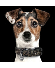 Load image into Gallery viewer, Iguania Kaki Leather Collar