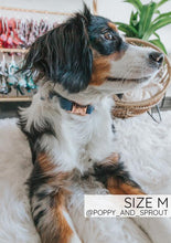 Load image into Gallery viewer, Jean Dog Collar