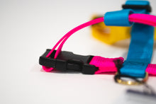 Load image into Gallery viewer, Jubilee Harness