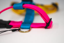 Load image into Gallery viewer, Jubilee Harness