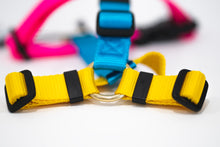 Load image into Gallery viewer, Jubilee Harness