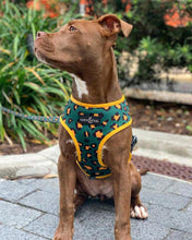 Load image into Gallery viewer, Jungle Vibes Reversible Harness