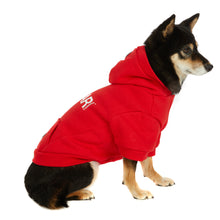 Load image into Gallery viewer, Minto Pajar Pup Hoodie Sweatshirt
