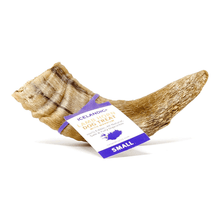 Load image into Gallery viewer, Lamb Horn With Marrow Small 4-4.7"