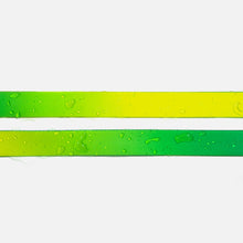 Load image into Gallery viewer, Lime Margarita Aqua Waterproof Leash