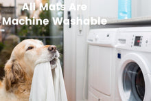 Load image into Gallery viewer, Bubble Gum Snuffle Mat - WAGSUP