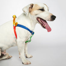 Load image into Gallery viewer, Sonia Harness (Yellow & Lime Multi)