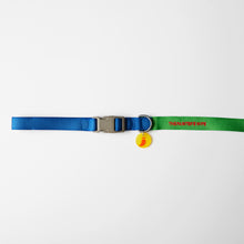 Load image into Gallery viewer, Sonia Leash (Yellow & Lime)