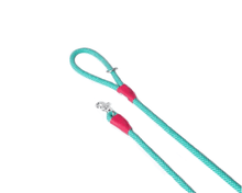 Load image into Gallery viewer, Mod Essentials Teal