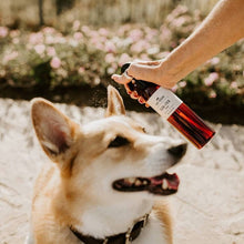 Load image into Gallery viewer, Natural Flea with Tick Spray For Dogs