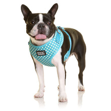 Load image into Gallery viewer, Neoflex Soft Harness - Benji