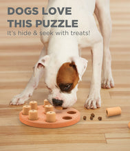 Load image into Gallery viewer, Nina Ottosson Smart Composite Dog Puzzle