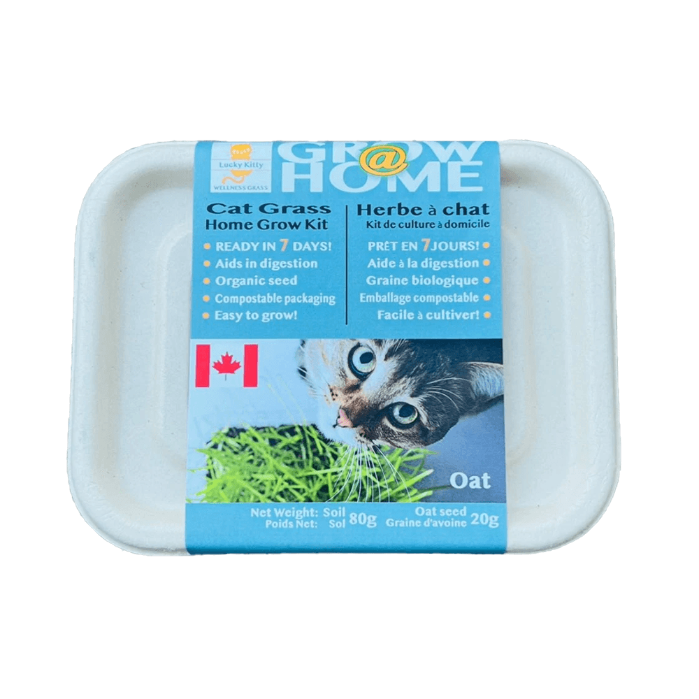 Oat Grass For Cats Seed with Soil Kit WAGSUP