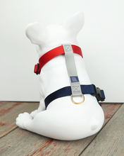 Load image into Gallery viewer, Optimus Harness