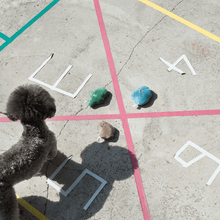 Load image into Gallery viewer, Pabble Brothers Nosework Toy (Blue)