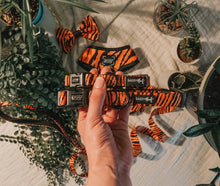 Load image into Gallery viewer, Paw of the Tiger Dog Collar