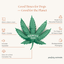 Load image into Gallery viewer, Pawty Jane