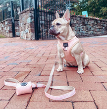 Load image into Gallery viewer, Pinot Adjustable Dog Harness