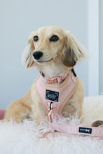 Load image into Gallery viewer, Pinot Adjustable Dog Harness