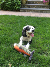 Load image into Gallery viewer, Plush Fish Squeaker Toy 12"