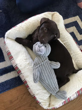 Load image into Gallery viewer, Plush Seal Crunch Toy 14"