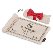 Load image into Gallery viewer, Back to School Graduation Hat & Scroll - WAGSUP