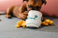 Load image into Gallery viewer, Pooch Poutine