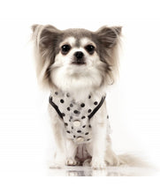 Load image into Gallery viewer, Portofino See-Through Transparent Raincoat