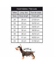 Load image into Gallery viewer, Portofino See-Through Transparent Raincoat